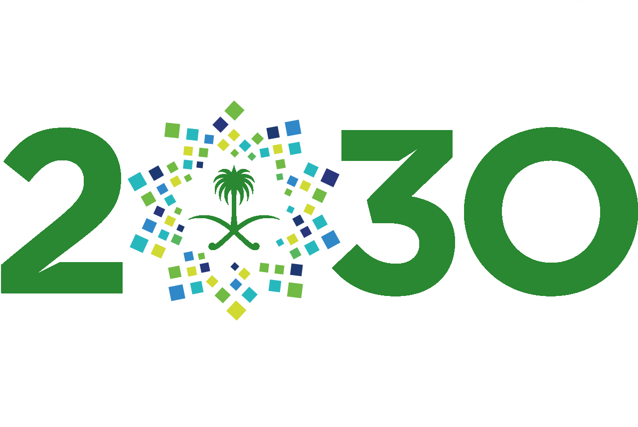 Vision 2030